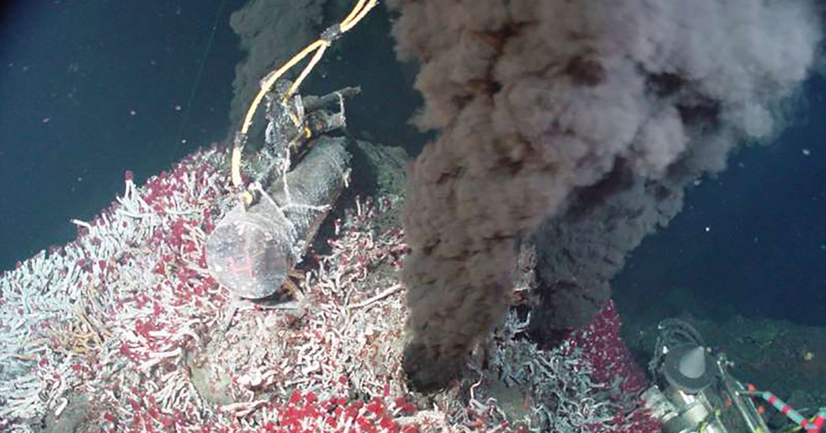 Deep-Sea Mining Could Find Rare Elements for Smartphones — but Will it Destroy Rare Species?