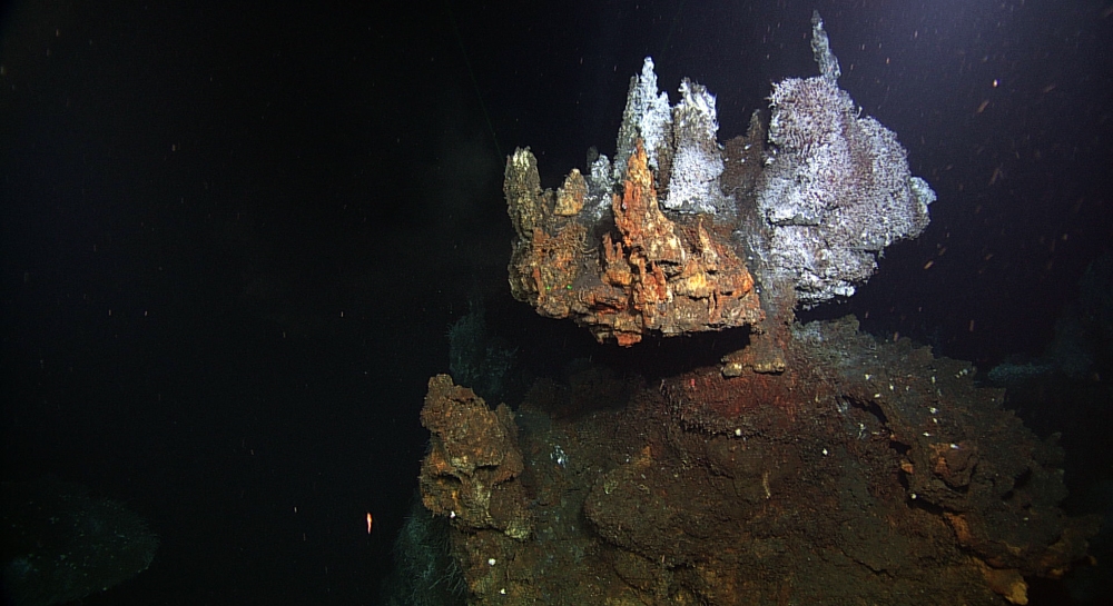 Chimney at Endeavour hydrothermal vent site Credit ONC 2011