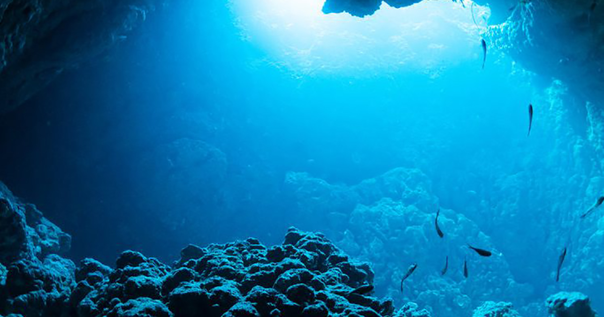 Deepsea Mining: the Environmental Debate