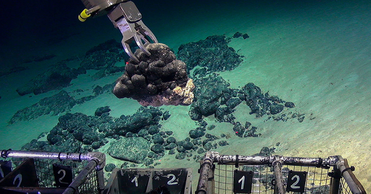 Mountains Hidden in the Deep Sea are Biological Hot Spots. Will Mining Ruin Them?