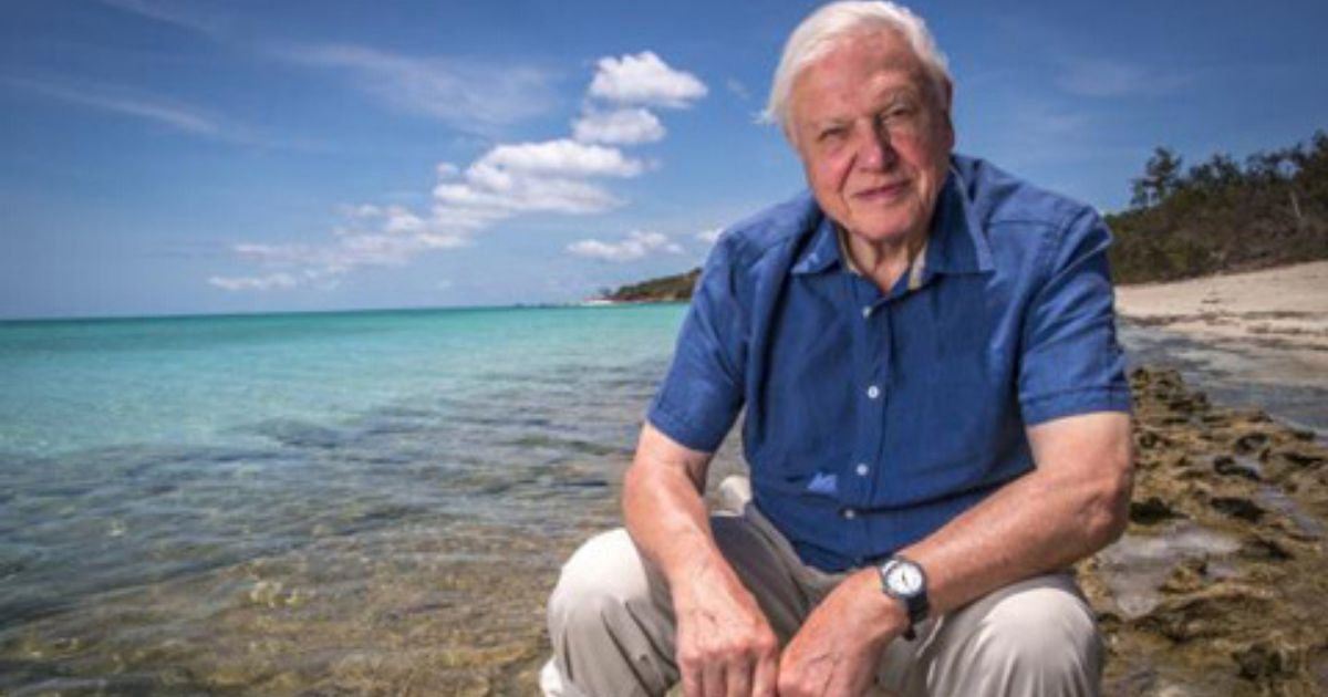 David Attenborough Urges Halt to Ocean Mining Plans