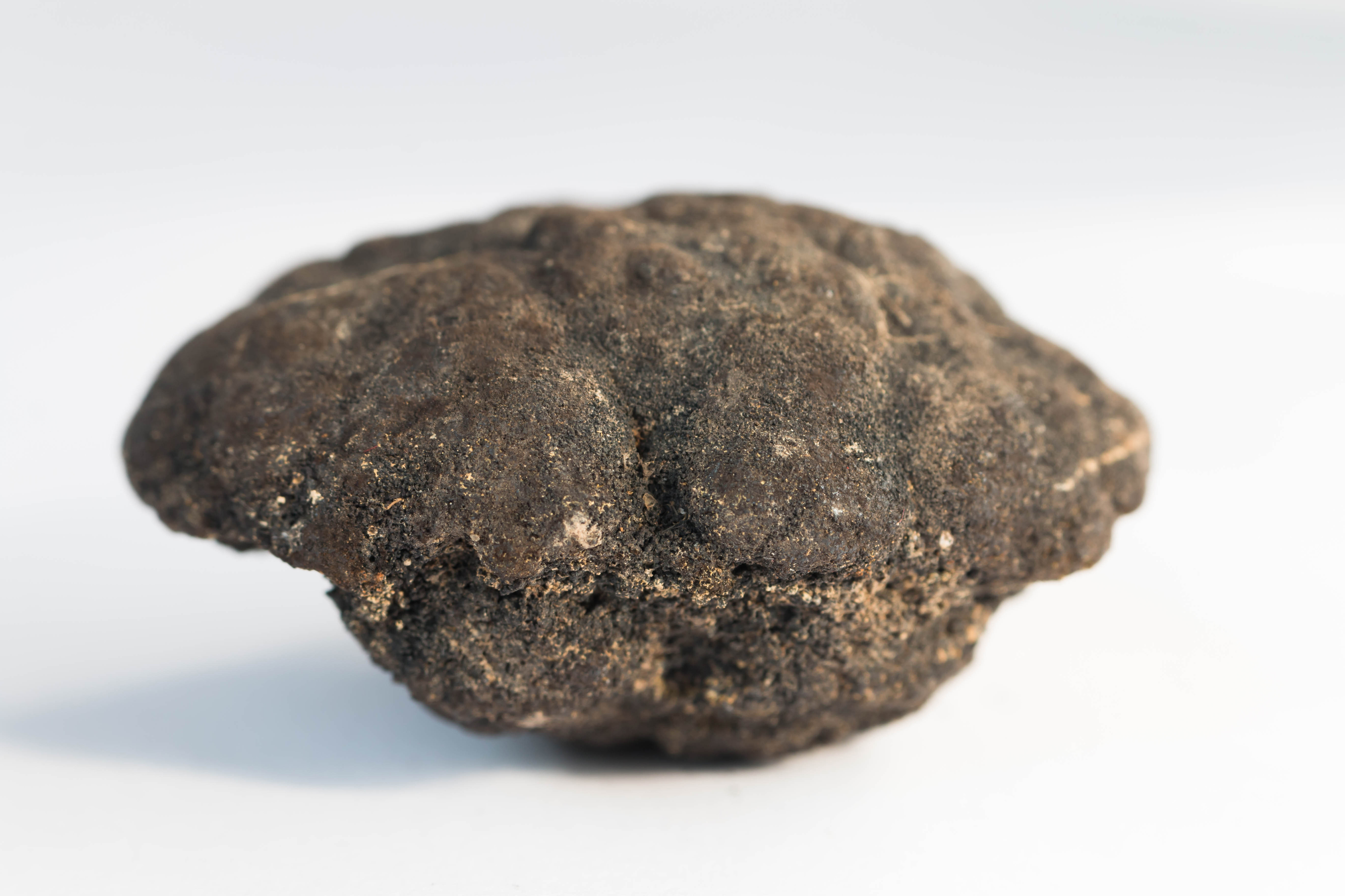 Polymetallic nodules from 5000m depth of Pacific ocean