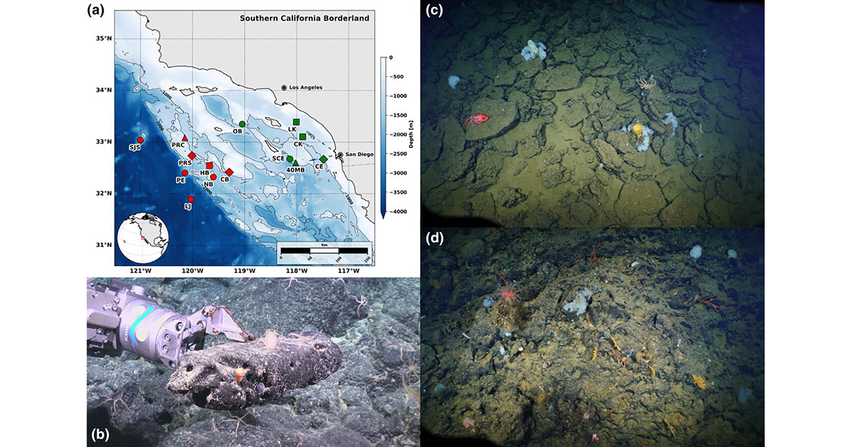 Exploring Links Between Deep-Sea Communities and Marine Minerals to Inform Resource Considerations