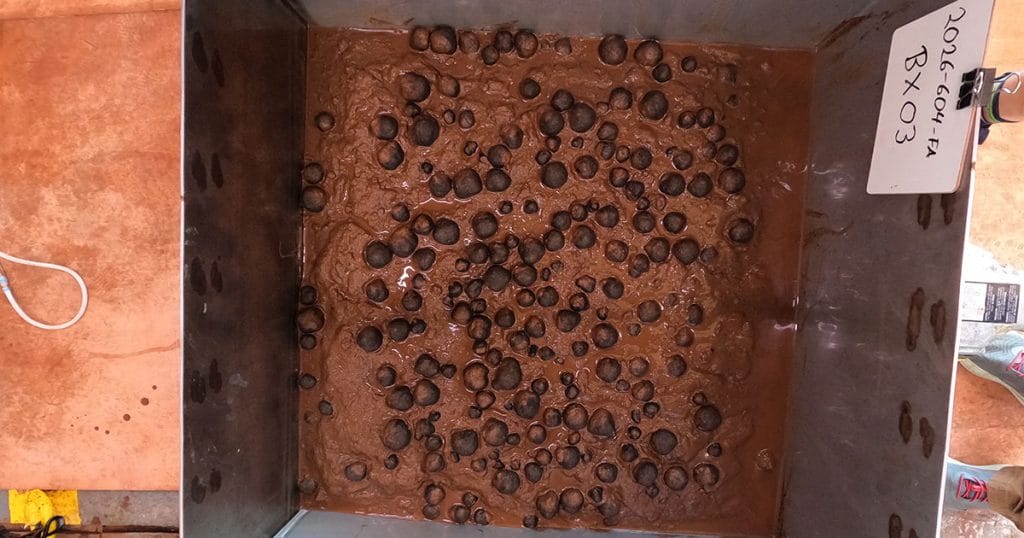 Image of geological samples from the seafloor that were collected via box core on April 14, 2026, in US waters off American Samoa.