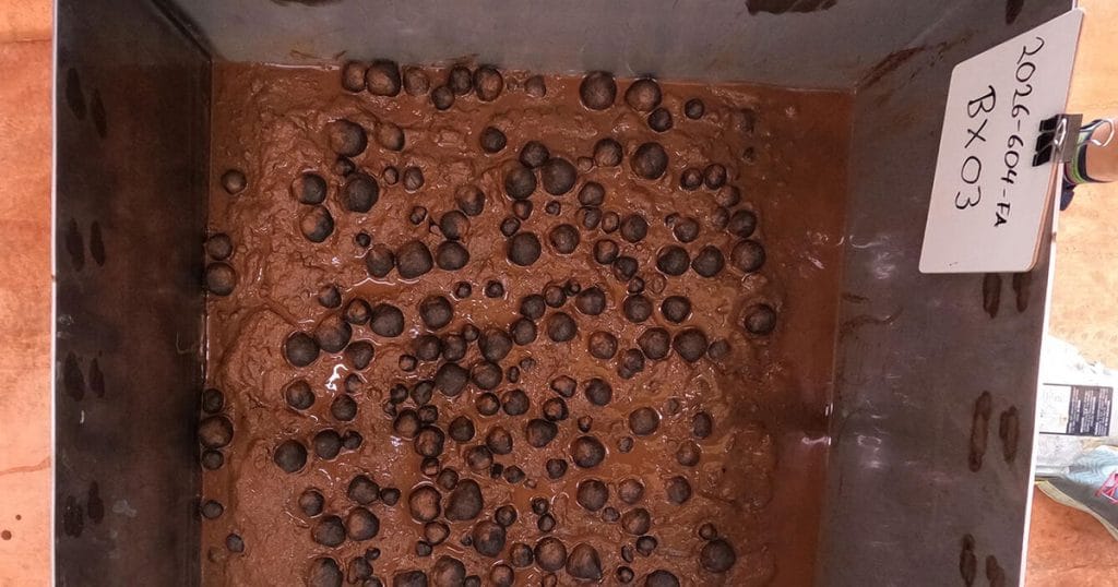 Box core sample containing polymetallic nodules from American Samoa, 2026, from the American Samoa Mapping Project.