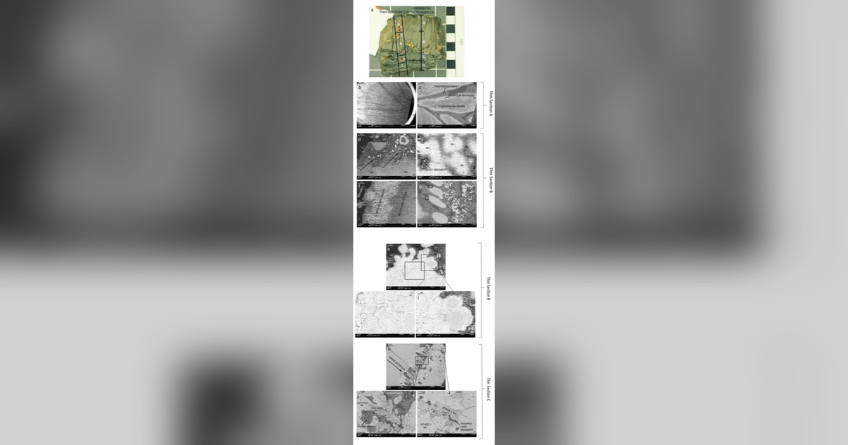 A stratigraphic scanning electron microscope tour showing the evolution of manganese-oxide mineralization of host sediment. Mn mineralization shows a multipronged process of formation including growth of Mn columns in soft sediment, cementation and then partial to complete replacement of the host sediment, Mn grain growth, Mn recrystallization, and late-stage void-fracture fill. Click image for full explanation. A new study led by USGS describes a previously undocumented style of hydrothermal manganese-oxide mineralization on the seabed near American Samoa, offering new insight into how seafloor mineral occurrences can form and how widespread similar deposits may be around the world. The study examined 24 dredge samples collected from three sites along the Samoan volcanic chain in the South Pacific. In many of these samples, researchers found evidence that hot, mineral-rich fluids moved upward through seafloor sediments, progressively replacing the original material with thick layers of manganese-oxide minerals. Hydrothermal systems occur where heated fluids circulate through Earth's crust and return to the seafloor, carrying dissolved metals and other elements. When those fluids encounter cooler surroundings, minerals can precipitate and accumulate. Manganese oxides are common components of seafloor mineral occurrences, but the new study documents something researchers had not previously observed: hydrothermal manganese oxides replacing sediment made up of foraminiferal carbonate. Foraminifera are microscopic marine organisms whose shells are commonly composed of calcium carbonate and can accumulate on the seafloor after the organisms die. (Credit: USGS)